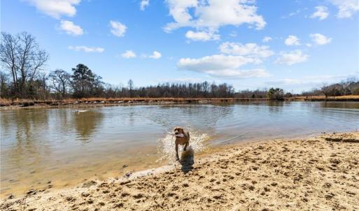 Photo #20 of 28094 Clarksbury Road, Boykins, Virginia 1,036.0 acres