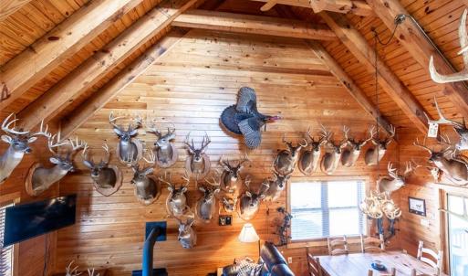 Photo #23 of 28094 Clarksbury Road, Boykins, Virginia 1,036.0 acres