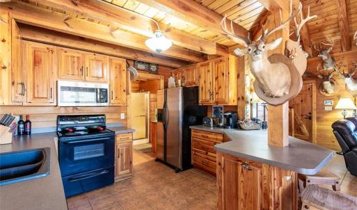 Photo #13 of 28094 Clarksbury Road, Boykins, Virginia 1,036.0 acres