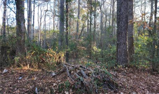 Photo #1 of 2701 Seven Eleven Road, Chesapeake, Virginia 1.4 acres