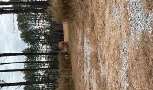 Photo #5 of 5 ac Ivor Road, Ivor, Virginia 5.0 acres