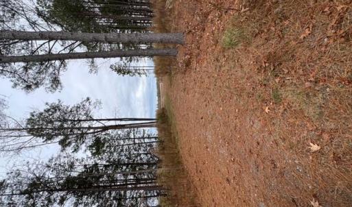 Photo #6 of 5 ac Ivor Road, Ivor, Virginia 5.0 acres
