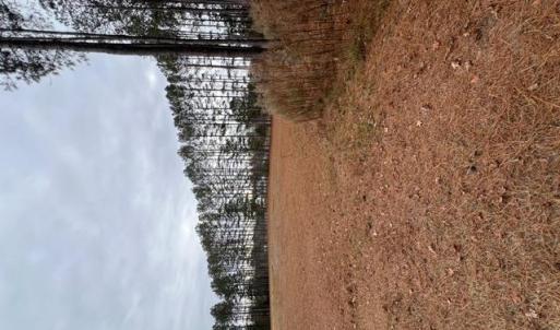 Photo #7 of 5 ac Ivor Road, Ivor, Virginia 5.0 acres