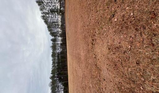 Photo #8 of 5 ac Ivor Road, Ivor, Virginia 5.0 acres