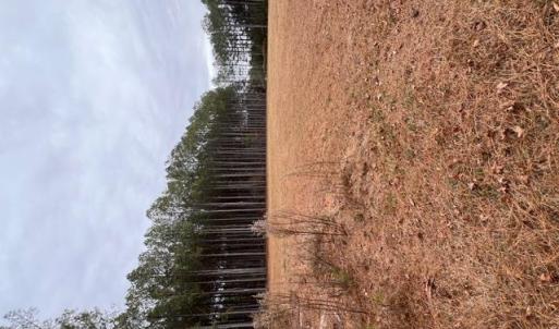 Photo #9 of 5 ac Ivor Road, Ivor, Virginia 5.0 acres