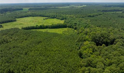 Photo #1 of 104 AC St Lukes Road, Sedley, Virginia 104.0 acres