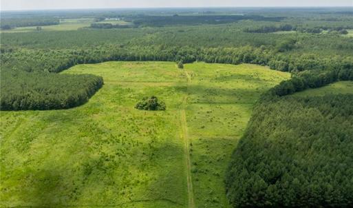 Photo #7 of 104 AC St Lukes Road, Sedley, Virginia 104.0 acres