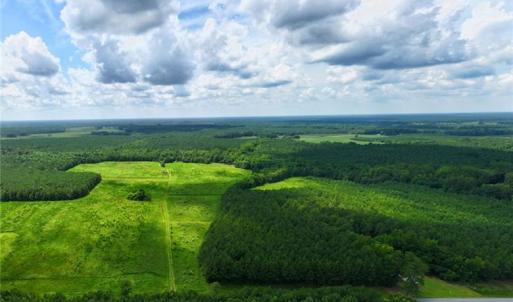 Photo #8 of 104 AC St Lukes Road, Sedley, Virginia 104.0 acres