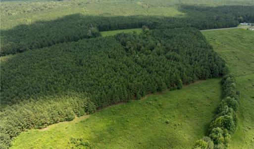 Photo #12 of 104 AC St Lukes Road, Sedley, Virginia 104.0 acres