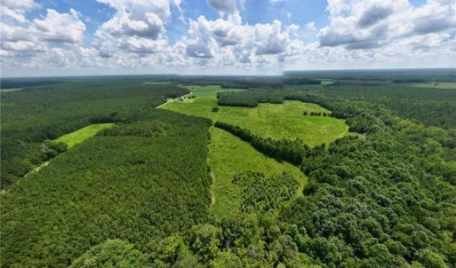 Photo #4 of 104 AC St Lukes Road, Sedley, Virginia 104.0 acres