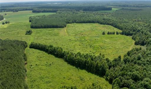 Photo #5 of 104 AC St Lukes Road, Sedley, Virginia 104.0 acres