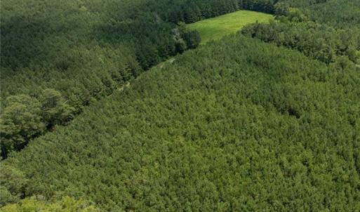 Photo #6 of 104 AC St Lukes Road, Sedley, Virginia 104.0 acres