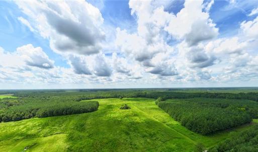 Photo #10 of 104 AC St Lukes Road, Sedley, Virginia 104.0 acres