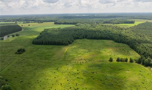 Photo #11 of 104 AC St Lukes Road, Sedley, Virginia 104.0 acres