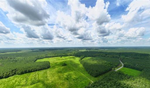 Photo #9 of 104 AC St Lukes Road, Sedley, Virginia 104.0 acres