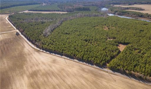 Photo #11 of 124 AC CRUMPLER Road, Ivor, Virginia 124.1 acres