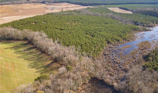 Photo #13 of 124 AC CRUMPLER Road, Ivor, Virginia 124.1 acres