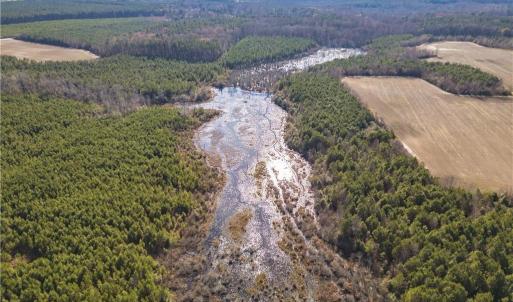 Photo #14 of 124 AC CRUMPLER Road, Ivor, Virginia 124.1 acres