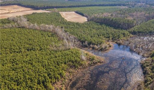 Photo #15 of 124 AC CRUMPLER Road, Ivor, Virginia 124.1 acres