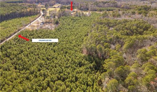 Photo #6 of 124 AC CRUMPLER Road, Ivor, Virginia 124.1 acres