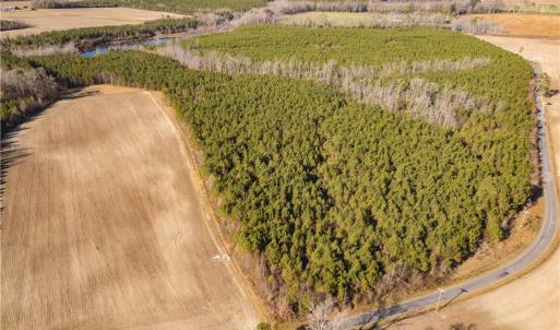 Photo #9 of 124 AC CRUMPLER Road, Ivor, Virginia 124.1 acres