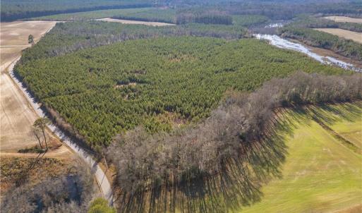 Photo #10 of 124 AC CRUMPLER Road, Ivor, Virginia 124.1 acres