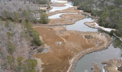 Photo #3 of Lot 11 Featherbed Lane, Gloucester, Virginia 11.3 acres