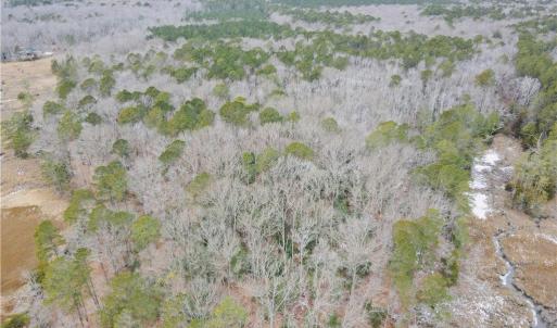 Photo #5 of Lot 11 Featherbed Lane, Gloucester, Virginia 11.3 acres