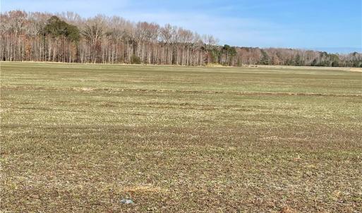 Photo #4 of 392 Princess Anne Road, Virginia Beach, Virginia 24.9 acres