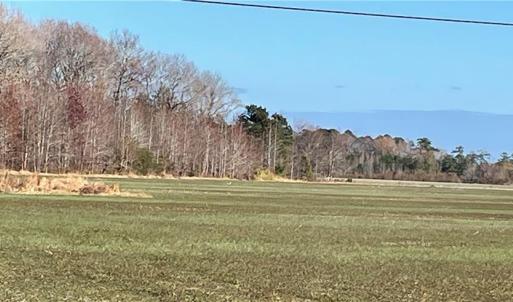 Photo #7 of 392 Princess Anne Road, Virginia Beach, Virginia 24.9 acres