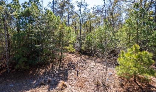 Photo #8 of 164 Shingle Landing Lane, Kill Devil Hills, North Carolina 0.4 acres