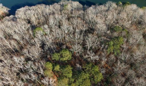 Photo #12 of 5.46AC Haynes Pond Way, Gloucester, Virginia 5.5 acres