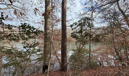 Photo #3 of 5.46AC Haynes Pond Way, Gloucester, Virginia 5.5 acres