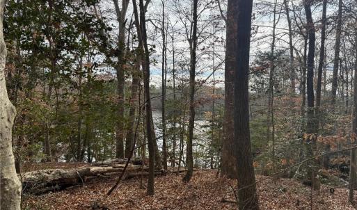 Photo #4 of 5.46AC Haynes Pond Way, Gloucester, Virginia 5.5 acres
