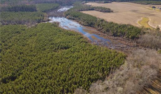 Photo #12 of 134+AC CRUMPLER Road, Ivor, Virginia 134.8 acres