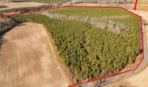 Photo #4 of 134+AC CRUMPLER Road, Ivor, Virginia 134.8 acres