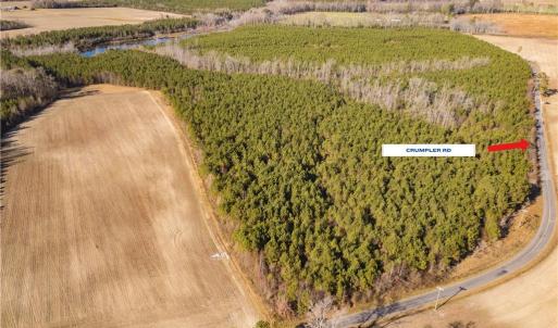 Photo #8 of 134+AC CRUMPLER Road, Ivor, Virginia 134.8 acres
