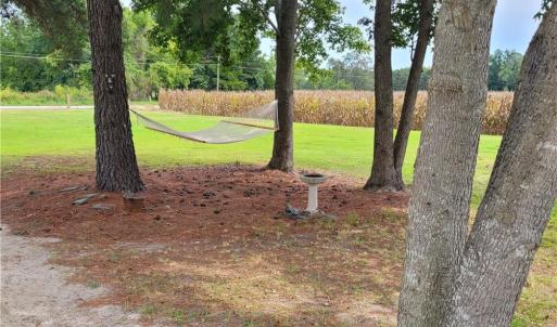 Photo #8 of 9378 Robins Neck Road, Gloucester, Virginia 9.8 acres