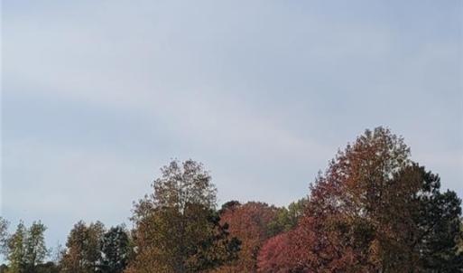 Photo #15 of 9378 Robins Neck Road, Gloucester, Virginia 9.8 acres