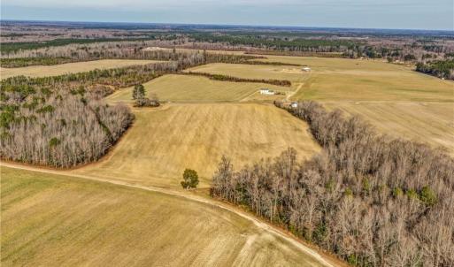 Photo #6 of 18423 Tomlin Hill Drive, Zuni, Virginia 34.0 acres