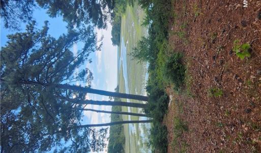 Photo #15 of 7472 Seaside Road, Eastville, Virginia 30.9 acres