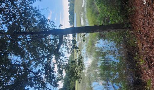 Photo #16 of 7472 Seaside Road, Eastville, Virginia 30.9 acres