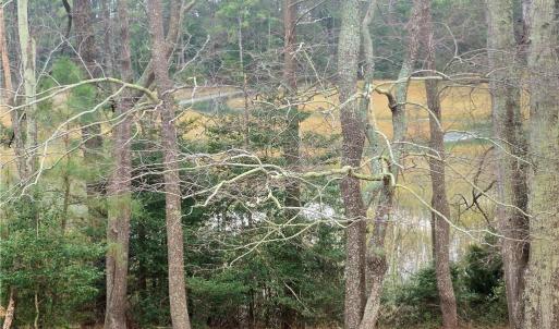 Photo #19 of 7472 Seaside Road, Eastville, Virginia 30.9 acres