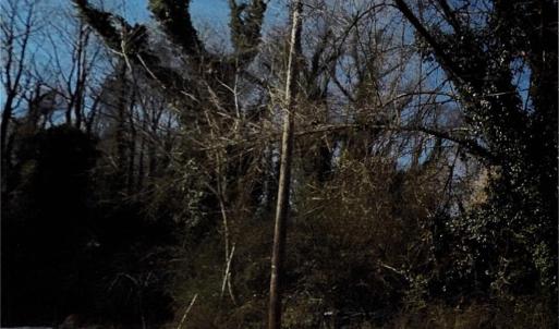 Photo #1 of Lot 59 Bethlehem Street, Suffolk, Virginia
