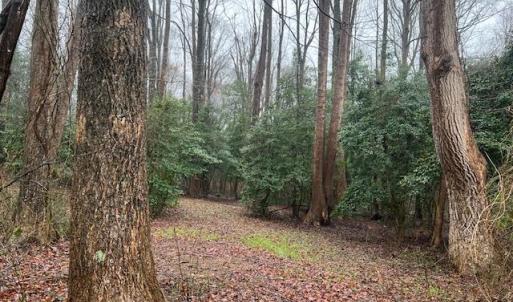 Photo #3 of 4.5ac Elsom Mascot Road, Mattaponi, Virginia 4.5 acres