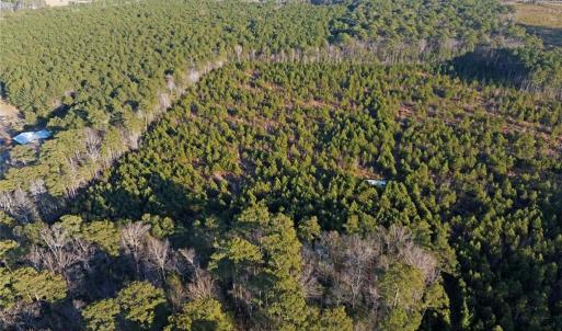 Photo #3 of 25+AC Salem Church Road, Mathews, Virginia 31.3 acres