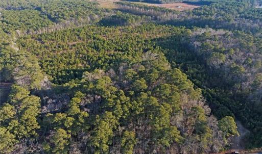 Photo #4 of 25+AC Salem Church Road, Mathews, Virginia 31.3 acres