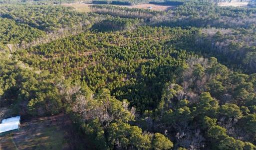 Photo #5 of 25+AC Salem Church Road, Mathews, Virginia 31.3 acres