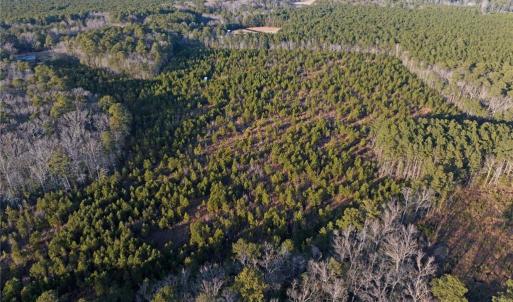 Photo #8 of 25+AC Salem Church Road, Mathews, Virginia 31.3 acres