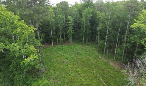 Photo #2 of 1813 Shillelagh Road, Chesapeake, Virginia 7.4 acres